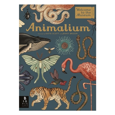 Animalium - Welcome To The Museum