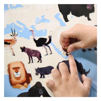 Animals Of The World - Discovery Poster