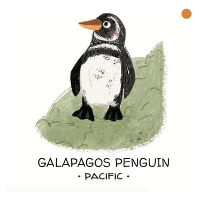 Animals To Save - Seas and Oceans