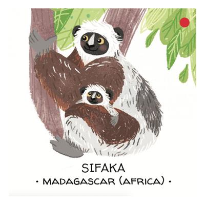 Animals To Save - Tropical Forests