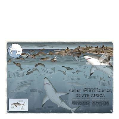 Atlas Of Ocean Adventures