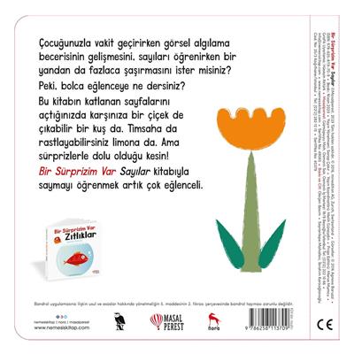 Bir Sürprizim Var - Sayılar