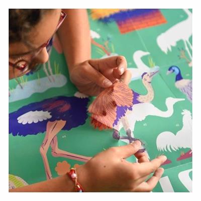 Birds - Discovery Poster