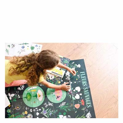 Botanic - Discovery Stickers