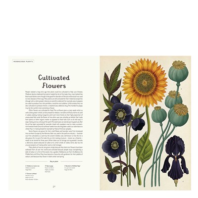 Botanicum