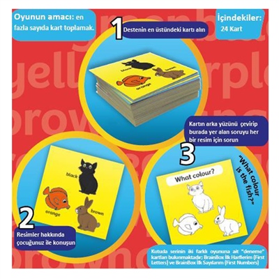 Braınbox İlk Renklerim