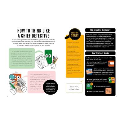 Bust or Trust - A Kid s Mystery Book