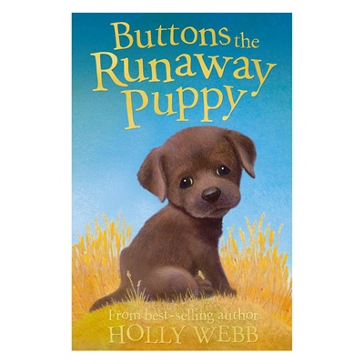 BUTTONS THE RUNAWAY PUPPY - ANIMAL STORIES #yenigelenler Çocuk Kitapları Uzmanı - Children's Books Expert