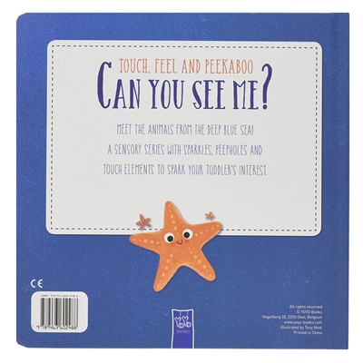 Can You See Me  Ocean