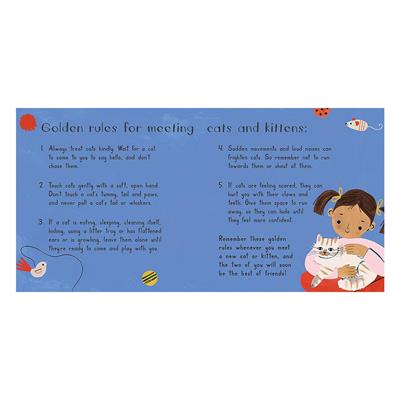 Cat Chat - Board Book