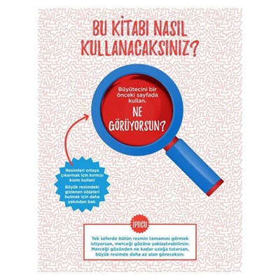 Dedektifler İçin Hıdden Pıctures Puzzle