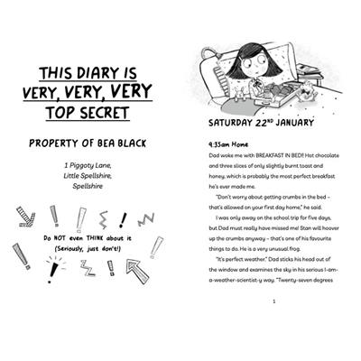 Diary of an Accidental Witch - Unexpected Guests