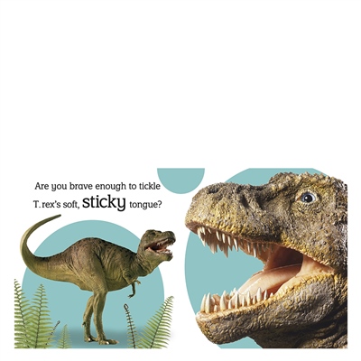 DINOSAUR (DK TOUCH - FEEL)