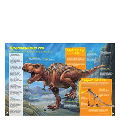 Dinozor Sevenler İçin Hıdden Pıctures