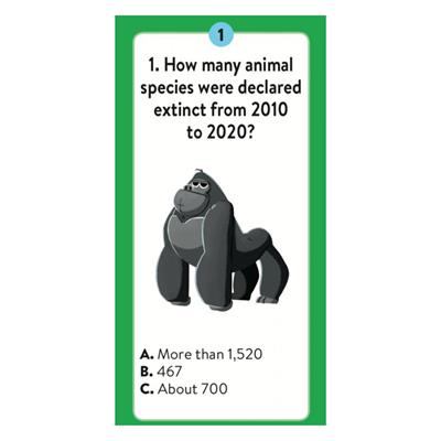 Puzzle, Atlas ve Kitap - Dünya