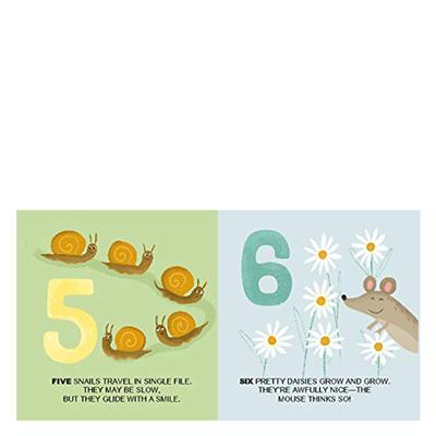 Eğitici Bloklar - Doğa