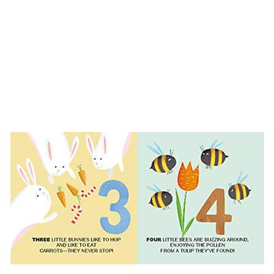 Eğitici Bloklar - Doğa