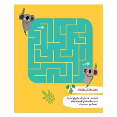 Eğlenceli Labirentler Etkinlik Kitabı