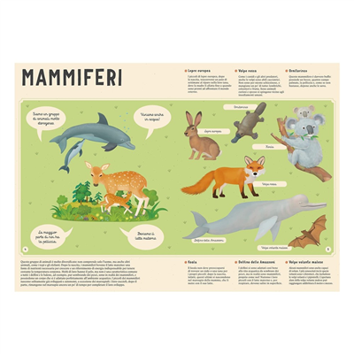 Enciclopedia Degli Animali Per Piccoli Lettori Nuo