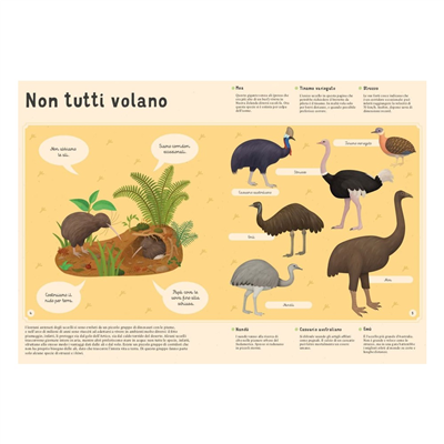Enciclopedia Degli Uccelli Per Piccoli Lettori Nuo