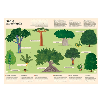 Enciclopedia Di Piante, Funghi E Licheni Per Picco