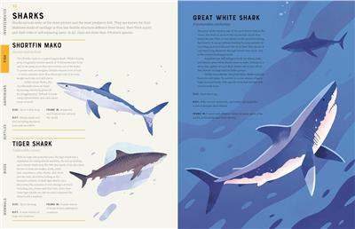 Encyclopedia of Animals