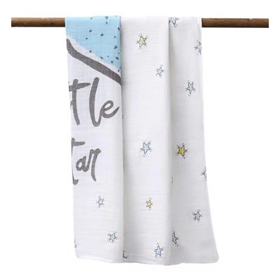 Erkek Bebek 2li Little Star Müslin Battaniye