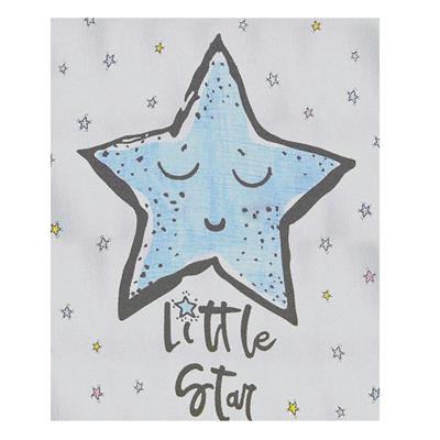 Erkek Bebek 2li Little Star Müslin Battaniye