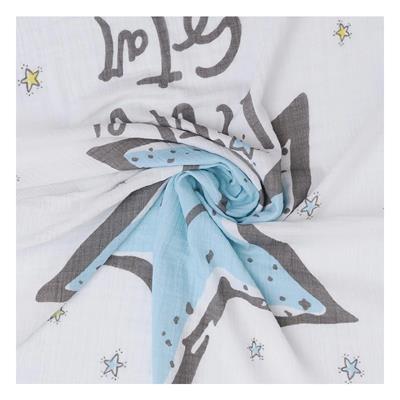 Erkek Bebek 2li Little Star Müslin Battaniye