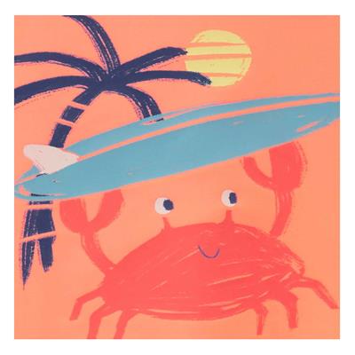 Erkek Bebek Güneş Koruyucu Mayo Set 2+