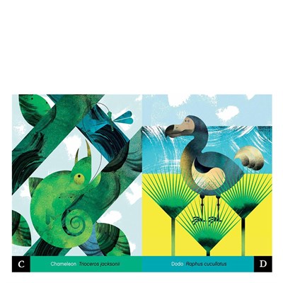 Exotic Animals A To Z