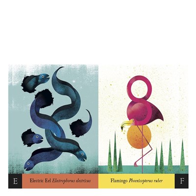 Exotic Animals A To Z