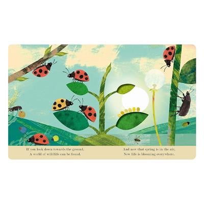 Explore a Tiny World Full of Life - Bugs