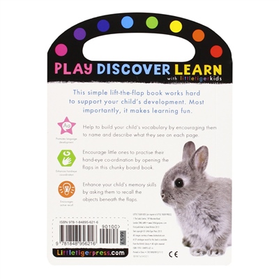 First Colours - My First Lift And Learn