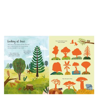 First Sticker Book Trees