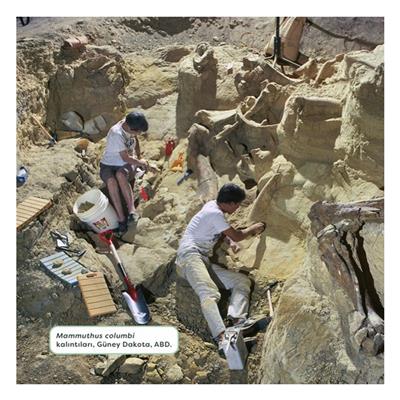 Fosiller - Genç Bir Bilim İnsanı İçin Kılavuz