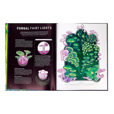 Glow - The Wild Wonders of Bioluminescence