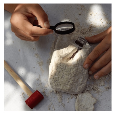 Göbeklitepe Arkeolojik Kazı Seti