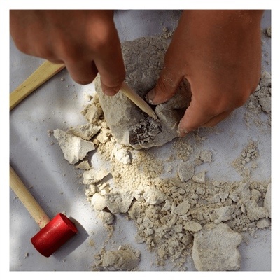 Göbeklitepe Arkeolojik Kazı Seti