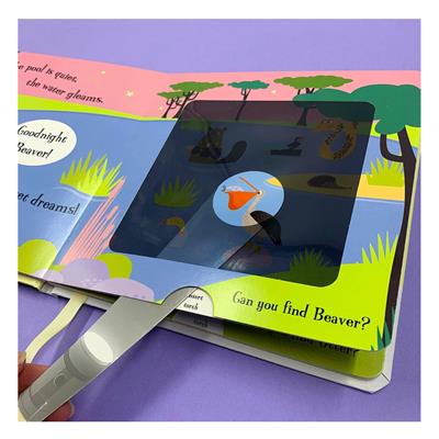 Goodnight Frog - A Magic Torch Book