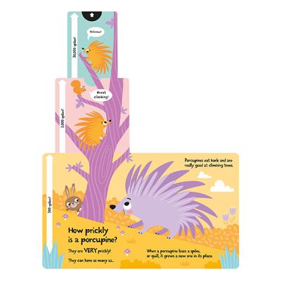 How Big Is A Bear - Board Book