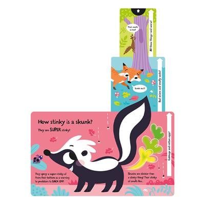 How Big Is A Bear - Board Book