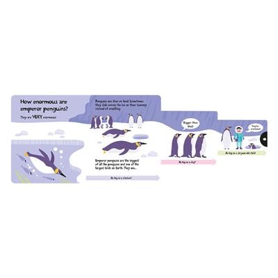 How Wide Is A Whale - Board Book
