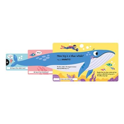 How Wide Is A Whale - Board Book
