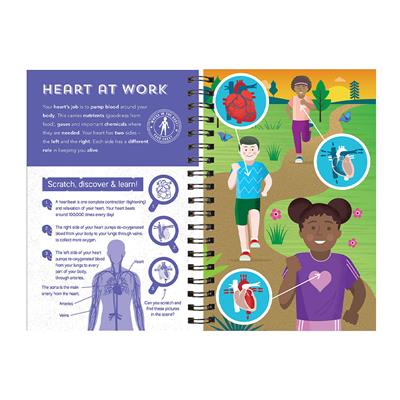 Human Body - Scratch, Discover And Learn