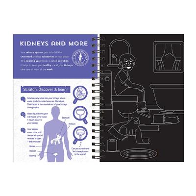 Human Body - Scratch, Discover And Learn