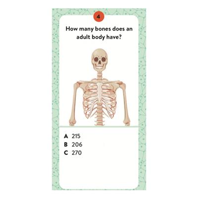 Puzzle - Atlas - 3D Model - İnsan Vücudu