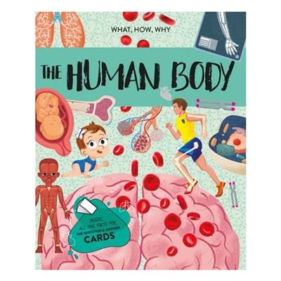 Puzzle - Atlas - 3D Model - İnsan Vücudu