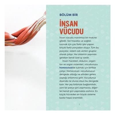 İnsan Vücudu - Genç Bir Bilim İnsanı İçin Kılavuz