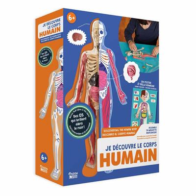 İnsan Vücudunu Keşfediyorum Poster -Model ve Kitap